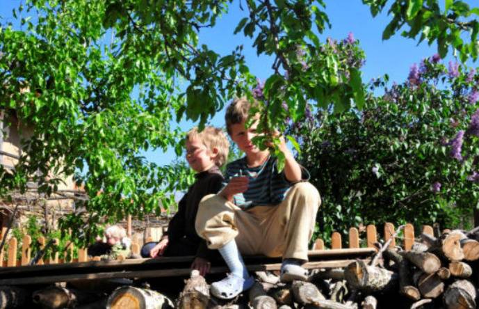 Geschützt: Natürliche Intelligenz oder Störung?