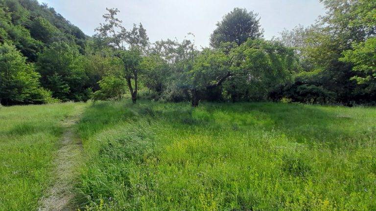 Geschützt: BULGARIEN – Freiheit, Weite & die Frage nach dem wahren Potenzial