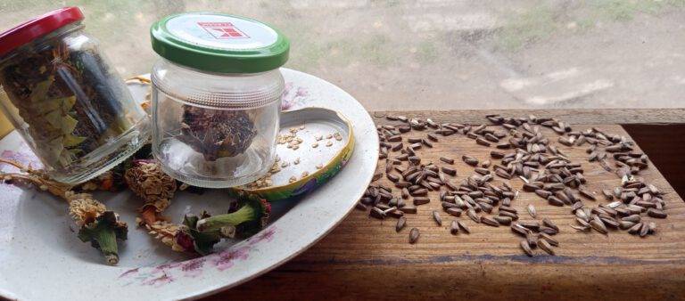 Geschützt: Regenmonat Oktober