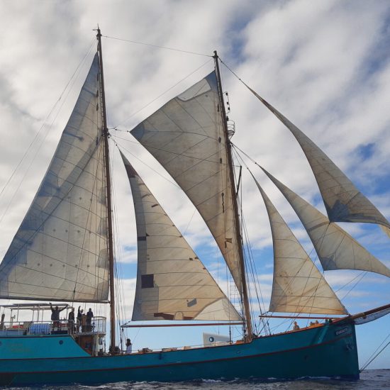 Meridian Expedition Stahlratte segeln Spirebo Segelzeiten. Das 1903 gebaute Segelschiff Stahlratte ermöglichte den Beginn der Meridian Expedition im Jahr 2021