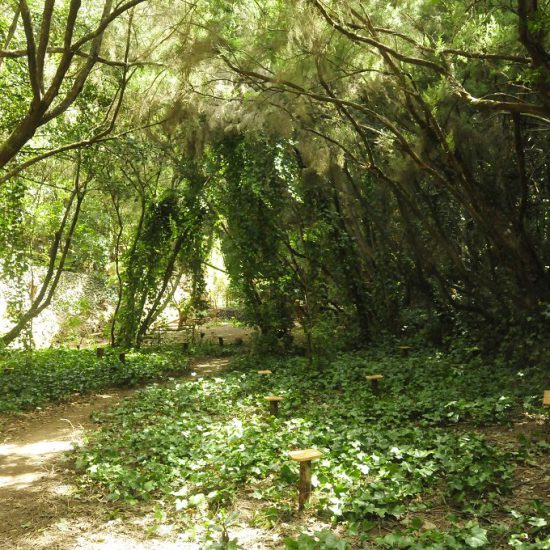 Garten Meditation La Gomera Wir legten einen Meditationsgarten auf La Gomera an